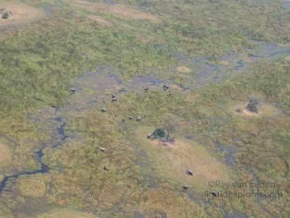 Elephant1-Okavango-Aerial