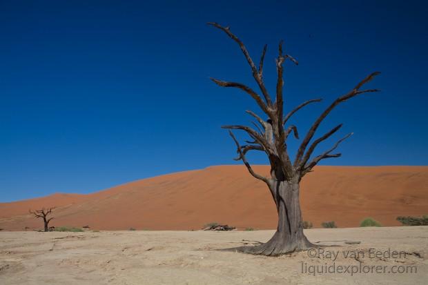 Namib-Desert2-Sossusvlei-Landscape