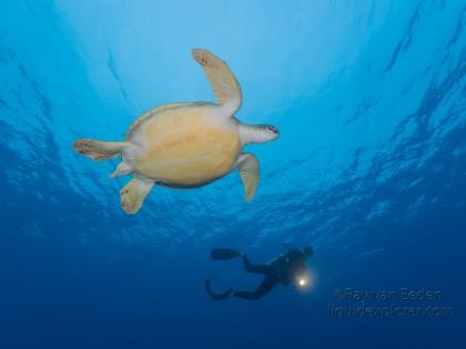 Turtle-Caves-Underwater-Wide-Angle