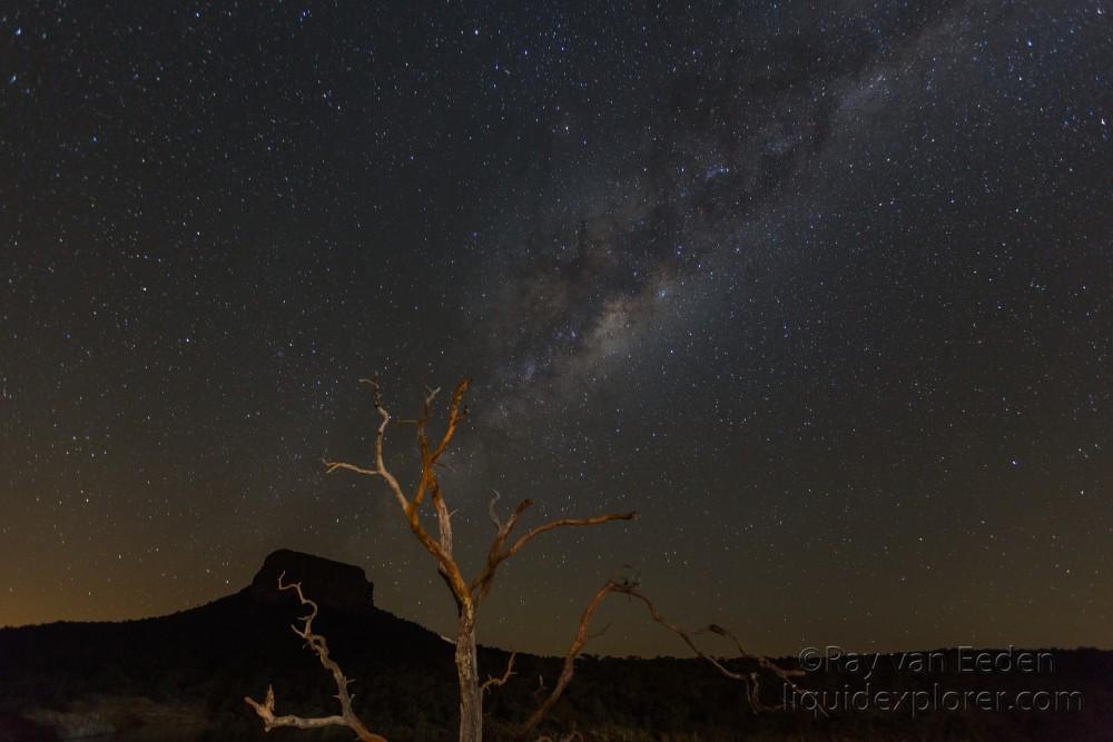 Entabeni-Stars-2-Entabeni-Wildlife-Wide