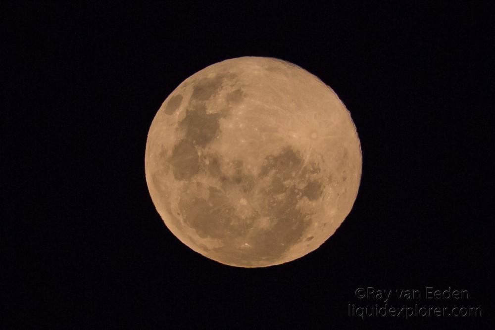 Full-Moon-1-Sabi-Sand-Wildlife-Wide