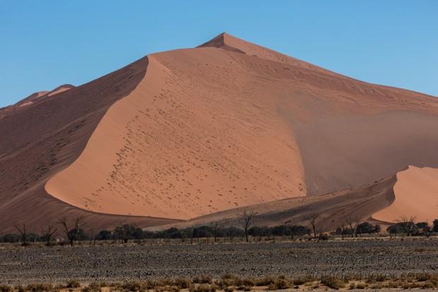 Dune-landscape-3-Sossuvlei-Landscape1