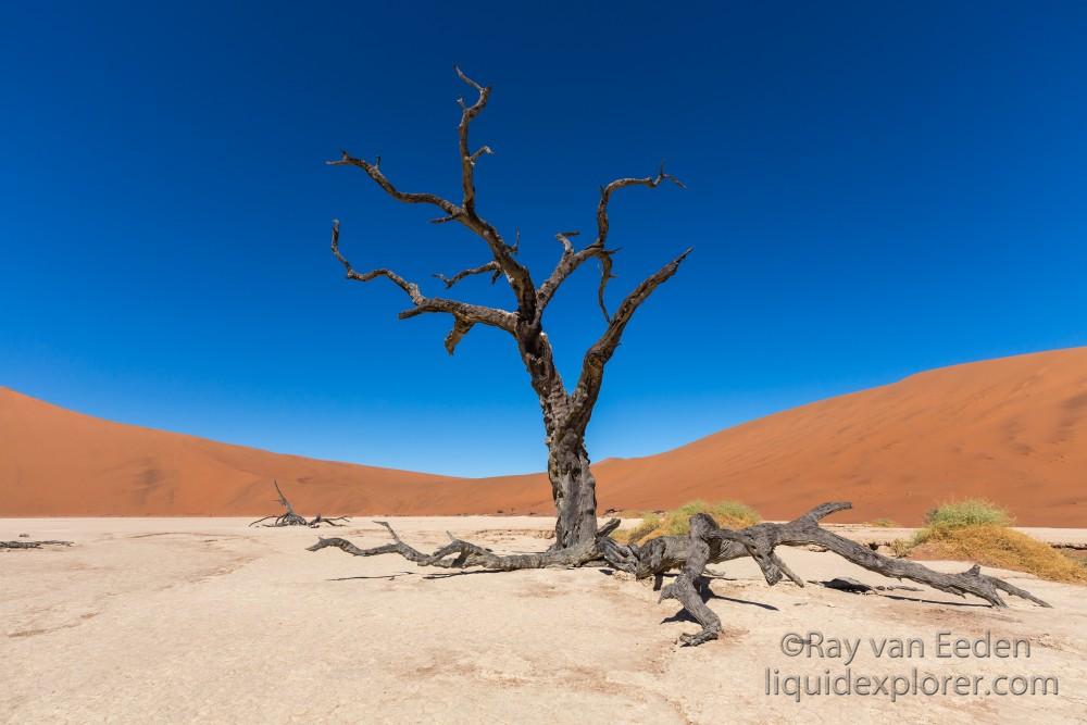 Dune-landscape-8-Sossuvlei-Landscape1