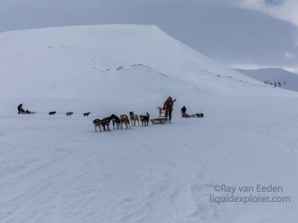 Svalbard Trip 2017