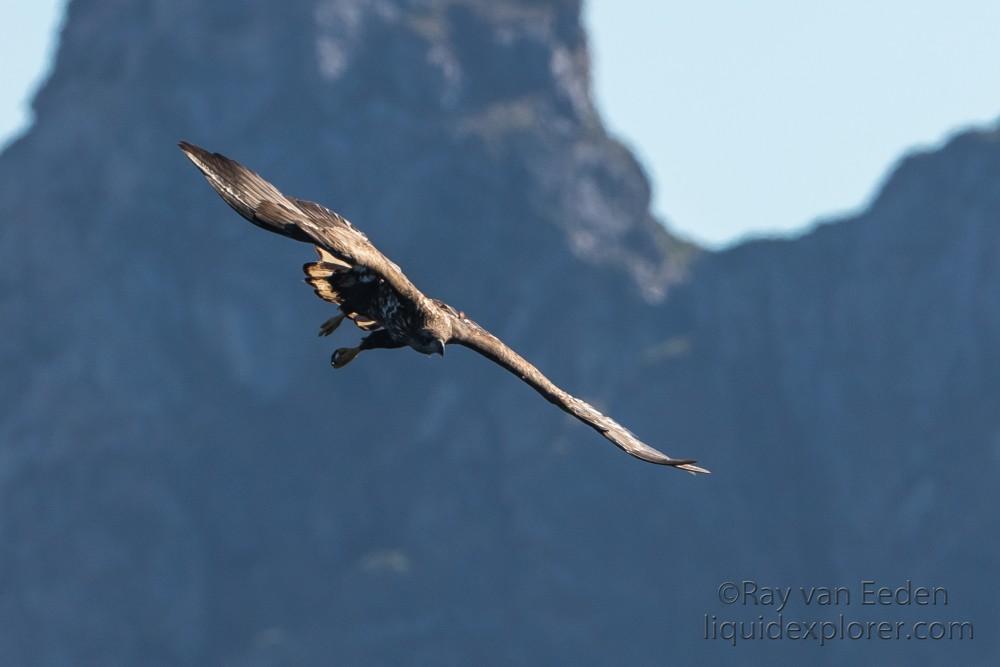 North Norway trip 2017