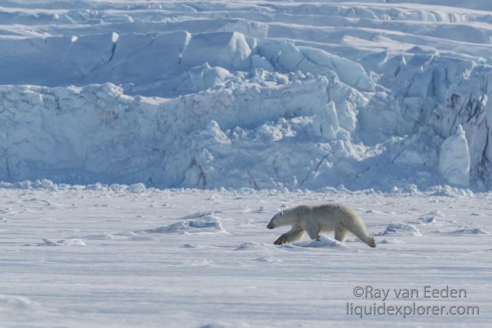 Svalbard trip 2017