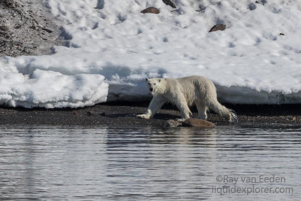 Svalbard trip 2017