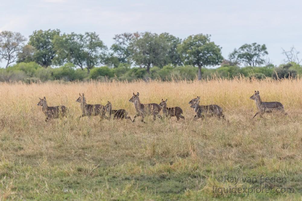 Botswana Trip 2018