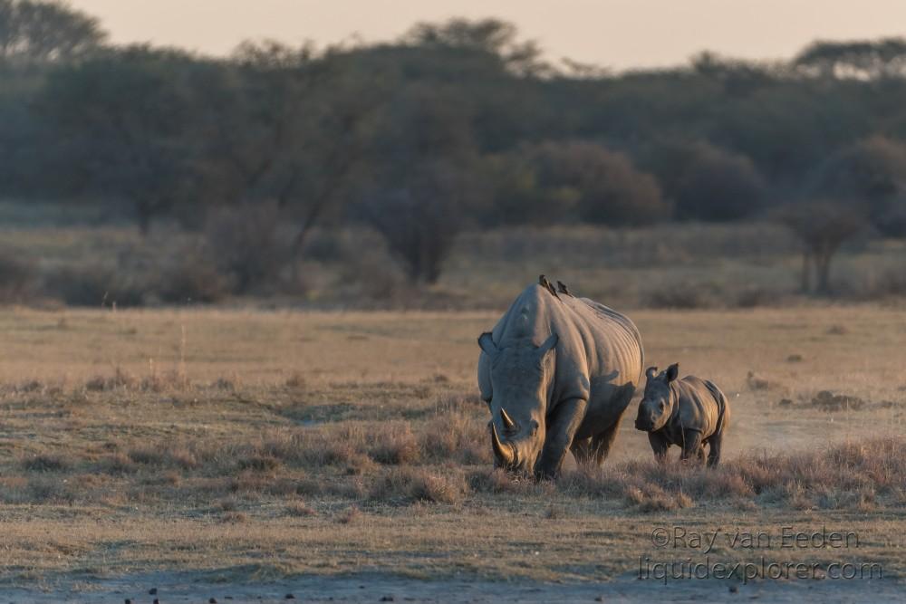 Botswana Trip 2018