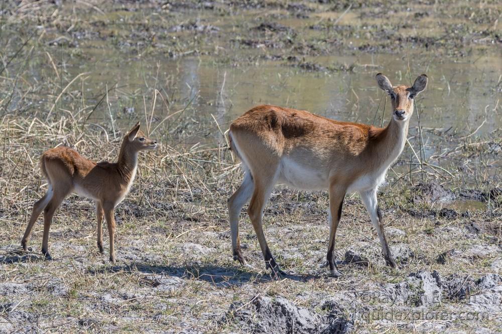 Botswana Trip 2018