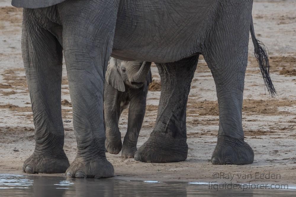 Botswana Trip 2018