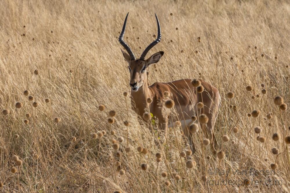 Botswana Trip 2018