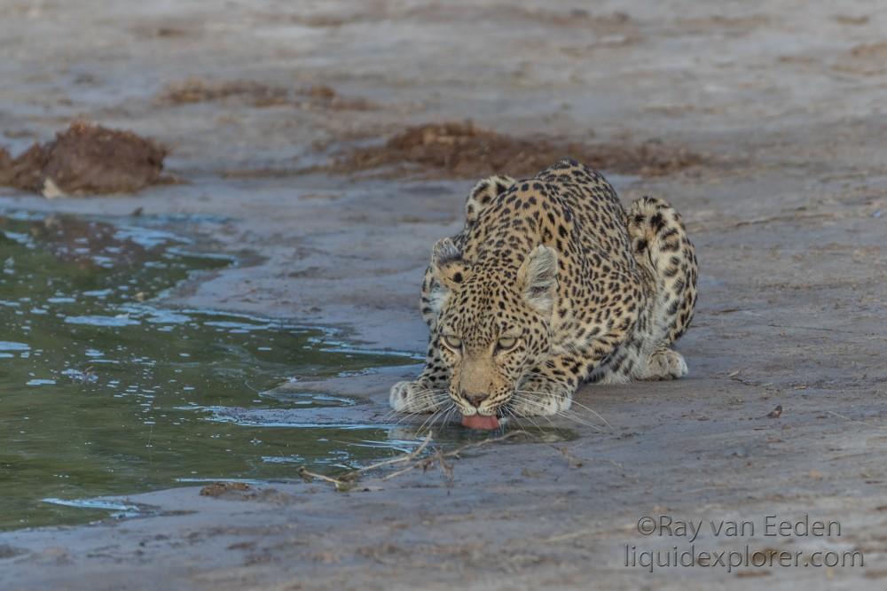 Botswana Trip 2018