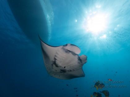 Fushivaru – 8 – Lhaviyani Atoll – Underwater Wide