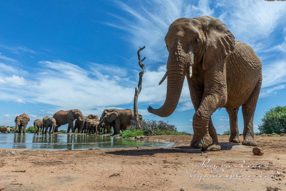 Madikwe116