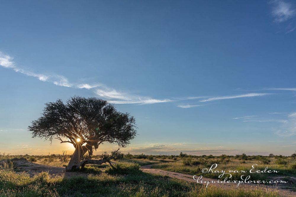 Madikwe150s