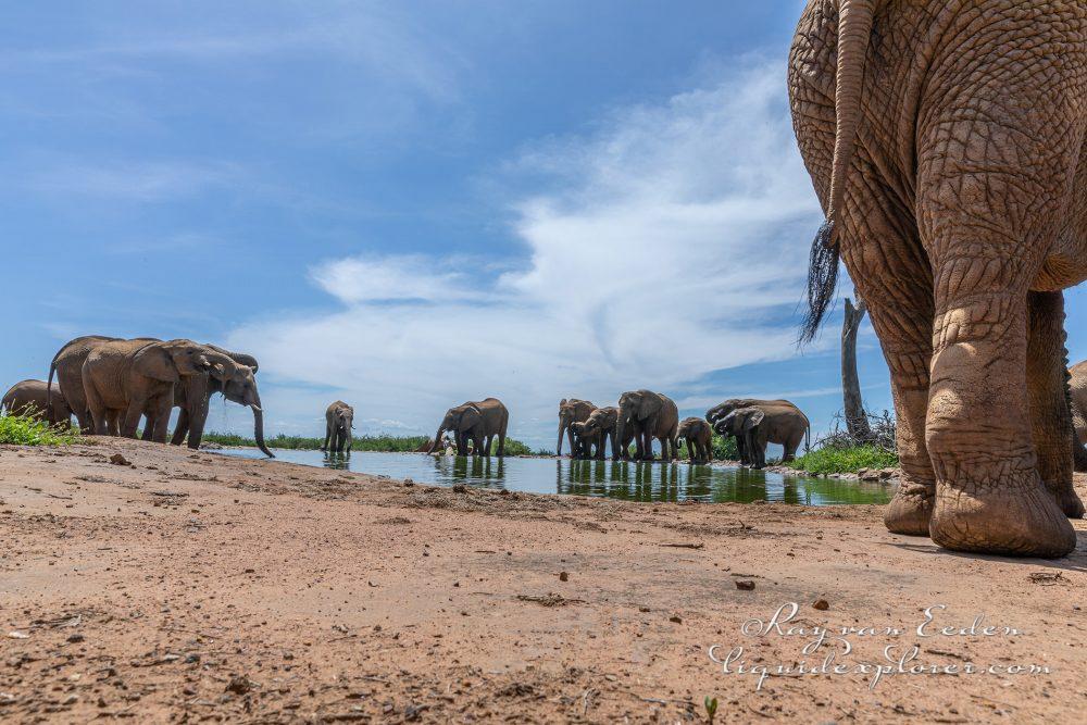 Madikwe21