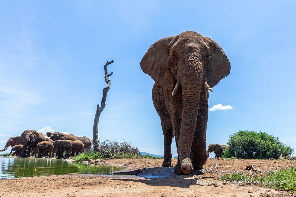 Madikwe268