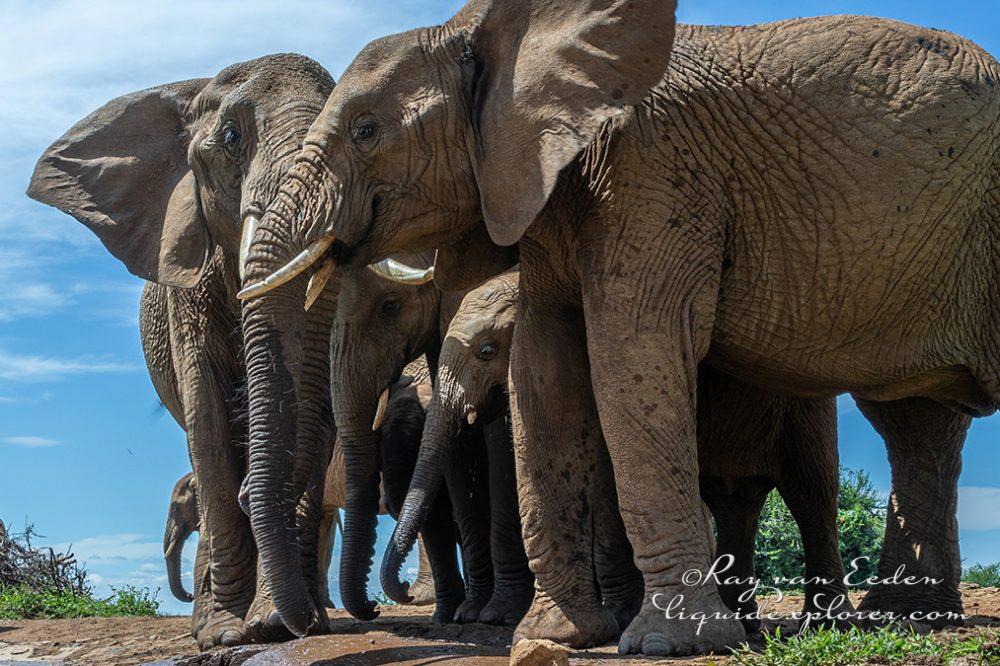 Madikwe35