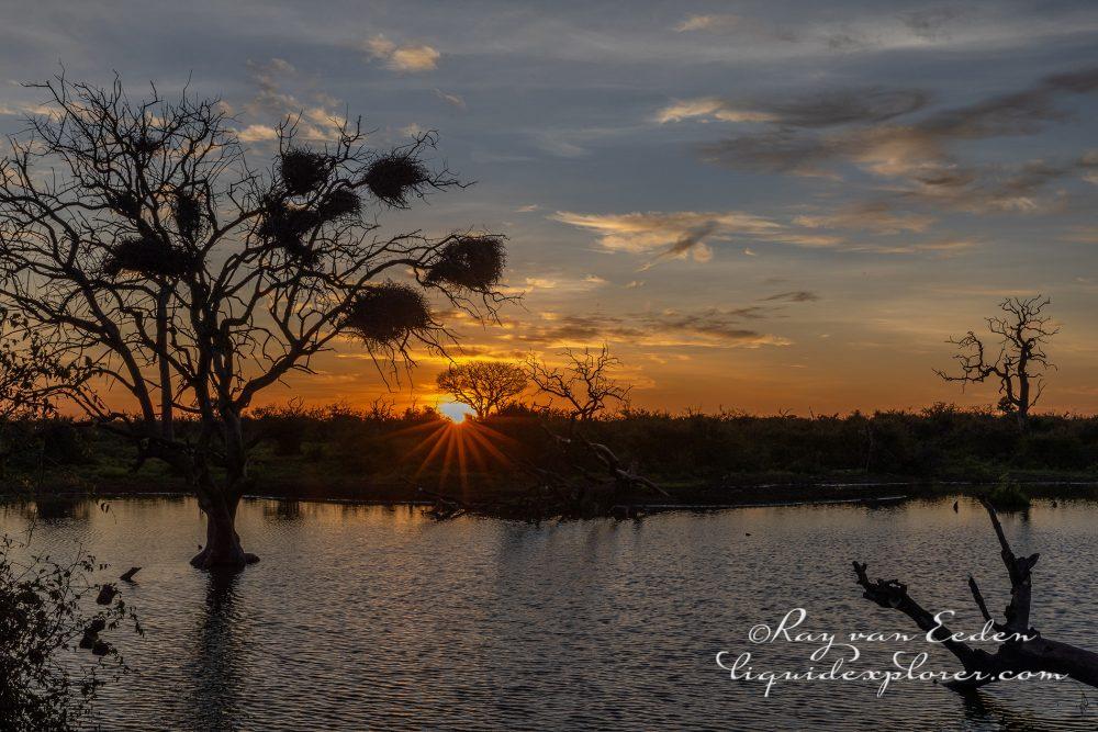 Madikwe82